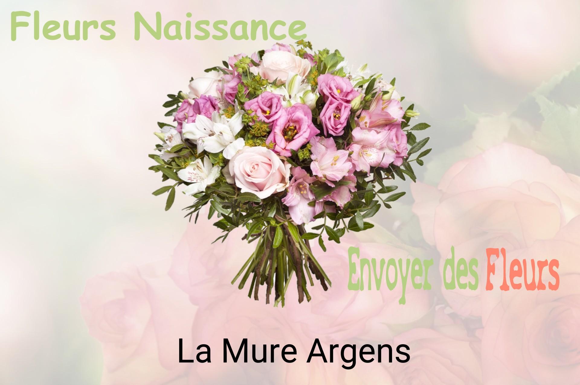 Bouquet de fleurs de naissance livré à La Mure-Argens